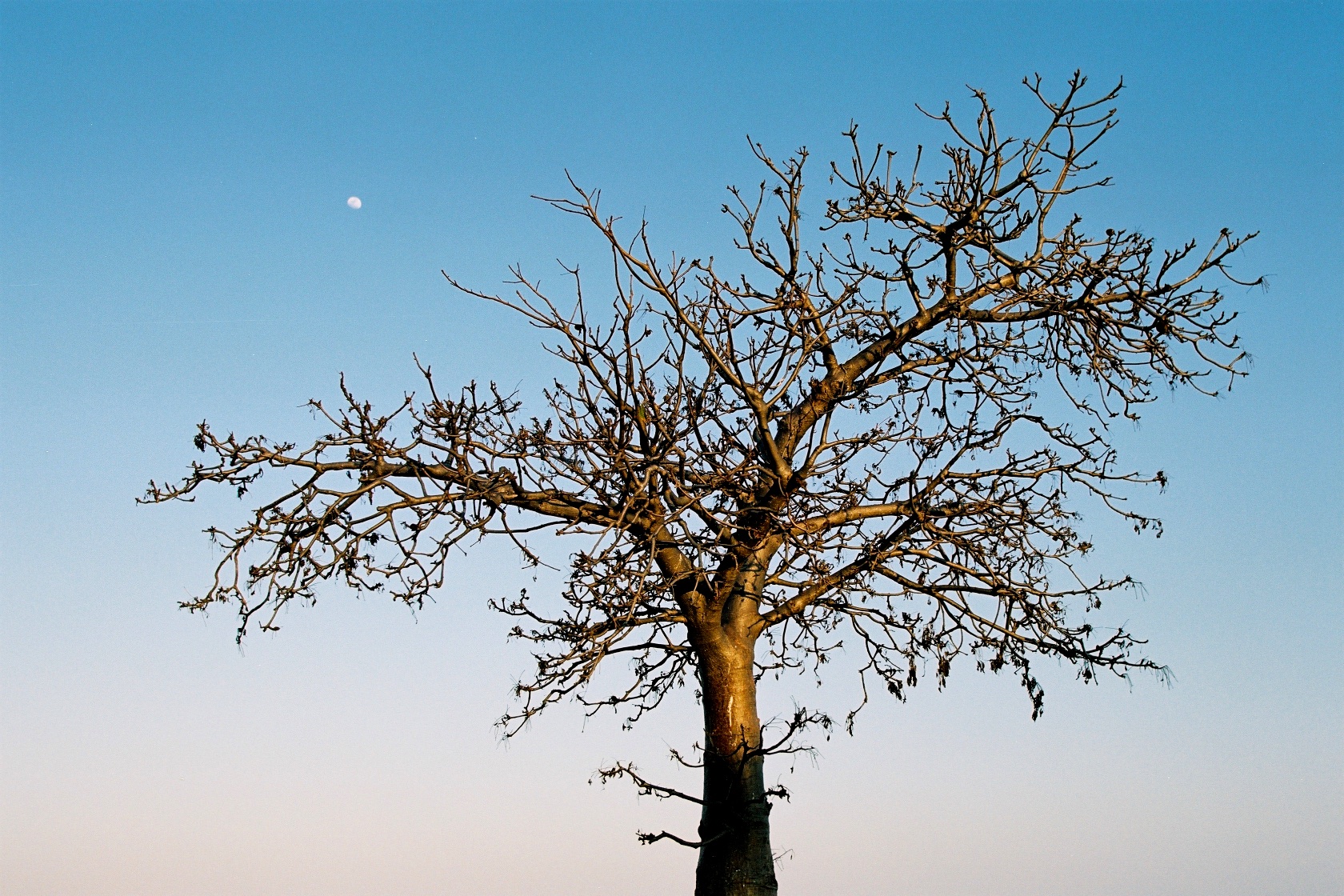 All About Composition