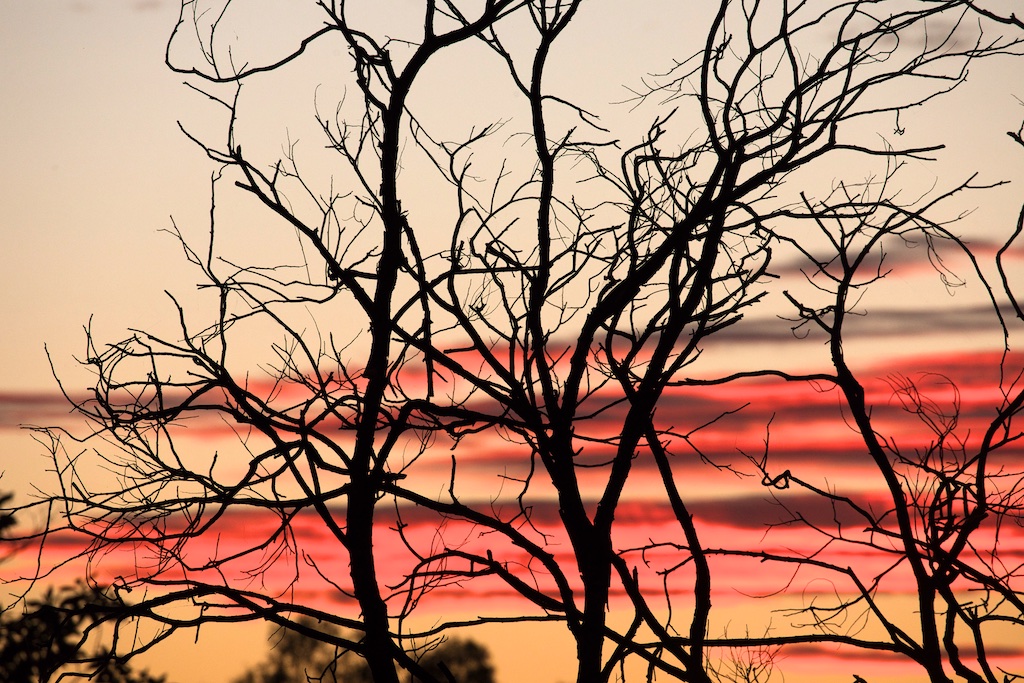 Berry 4 Day Photo Retreat 2024