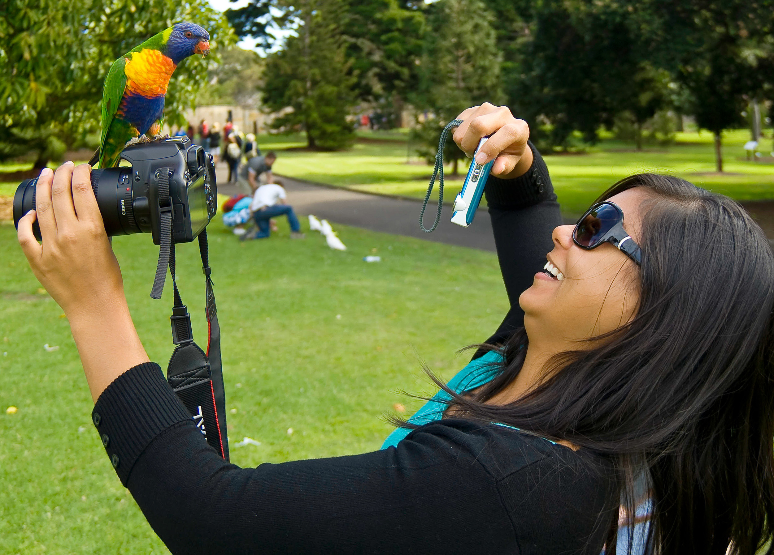 The Art of Macro - Sydney Photography Workshop