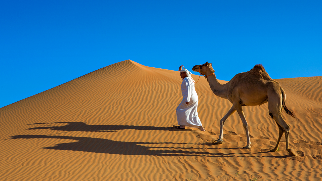 Camel Ride