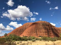 Uluru-Mala Walk Tour 乌鲁鲁马拉文化徒步之旅 
