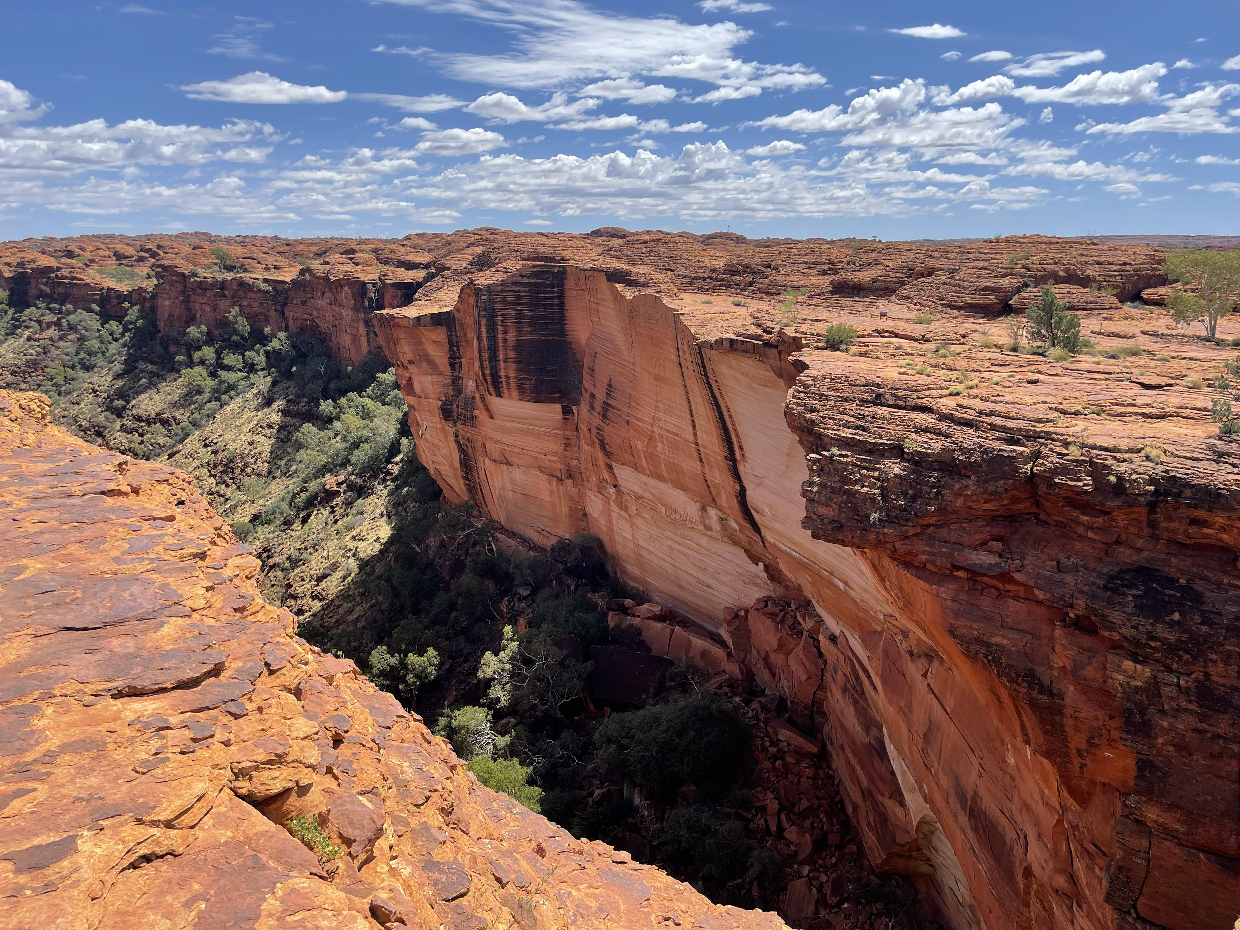 Kings Canyon Day Tour 帝王谷一日游