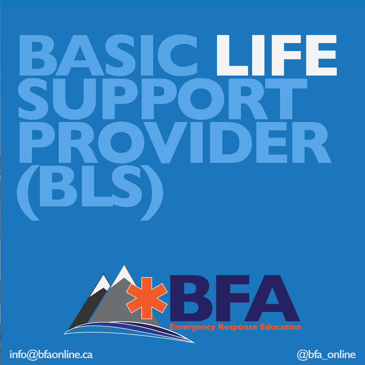Basic Life Support (Formerly Healthcare Provider/HCP)