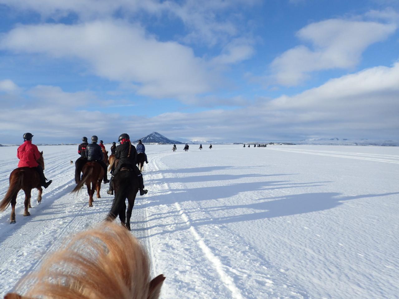 Horses On Ice - Mývatn Open