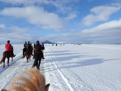 Horses On Ice - Mývatn Open