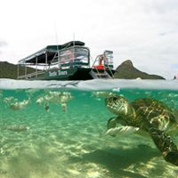 Glassbottom Boat - North Bay Turtle Nature and Snorkelling Tour 2023/4 season