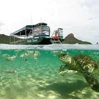 Glassbottom Boat - North Bay Turtle Nature and Snorkelling Tour 2024/5 season