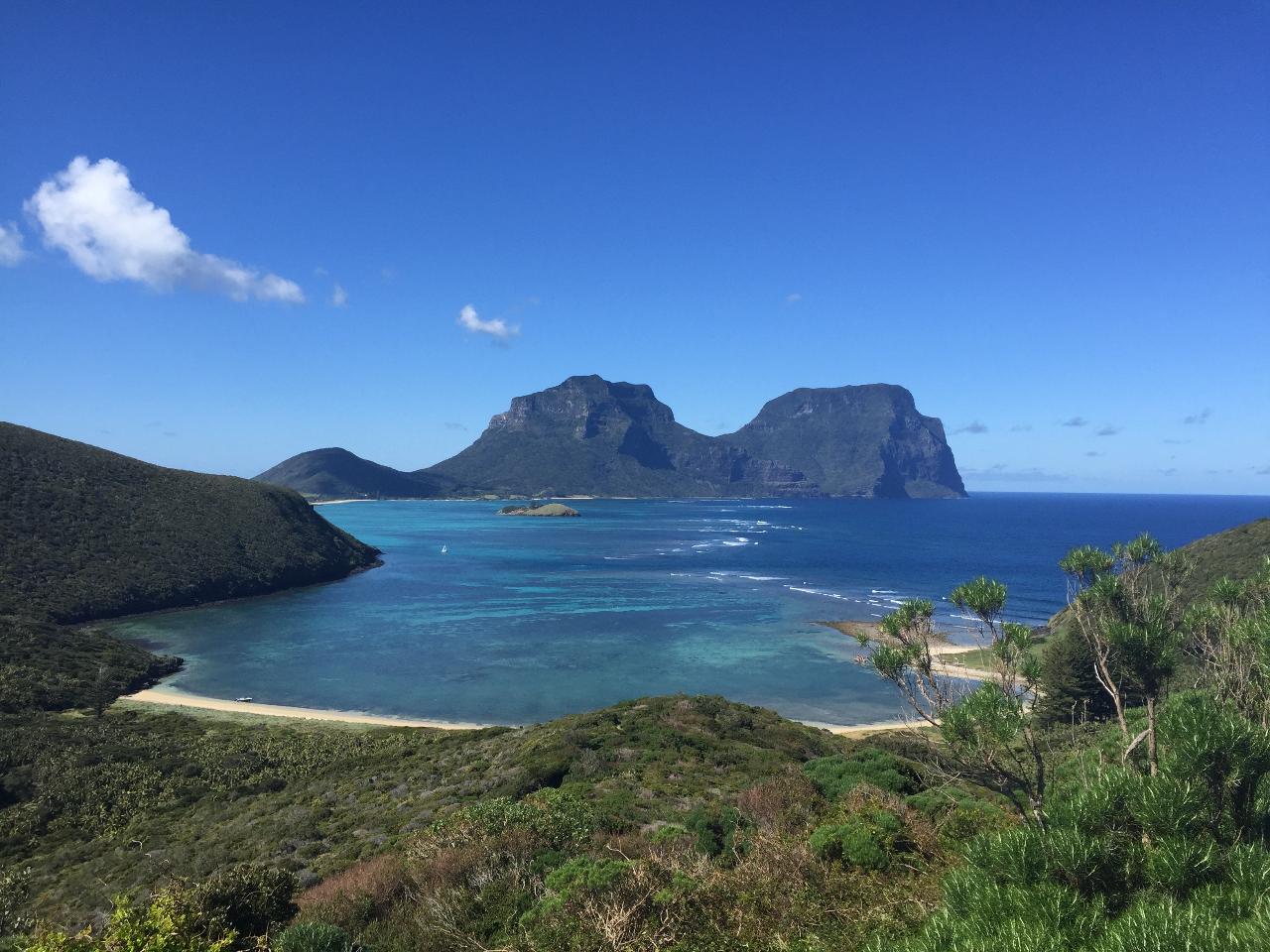 North Bay Glass bottom Boat turtle, snorkel &  Nature Adventure 
