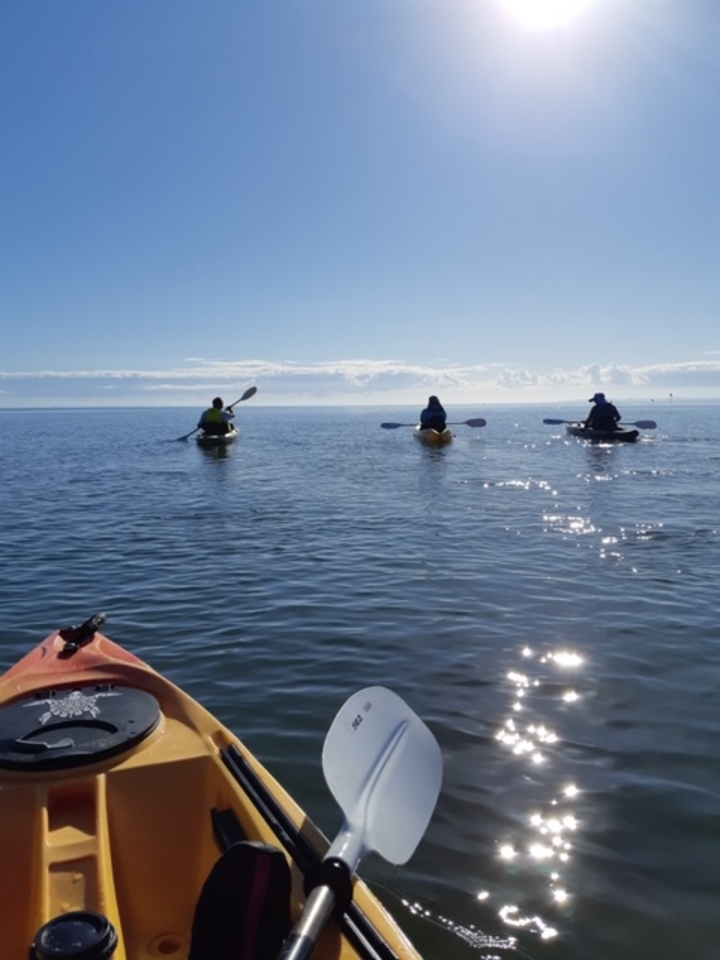 Adventure Kayak Tour - 3hrs Guided