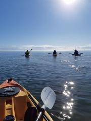 Adventure Kayak Tour - 3hrs Guided