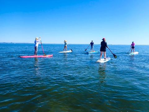 Stand up paddle Board Tours