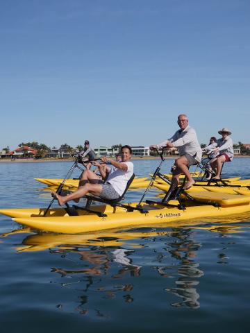 Water Bike Nature Encounters in the Bay