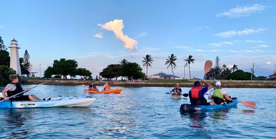 Guided Tours - Wildlife Encounters in Moreton Bay Marine Park - 1.5hr