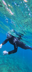 Snorkeling - Sesimbra