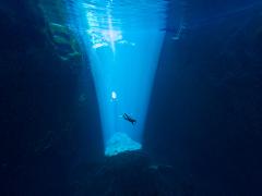 Dive Line Stay and Play package 