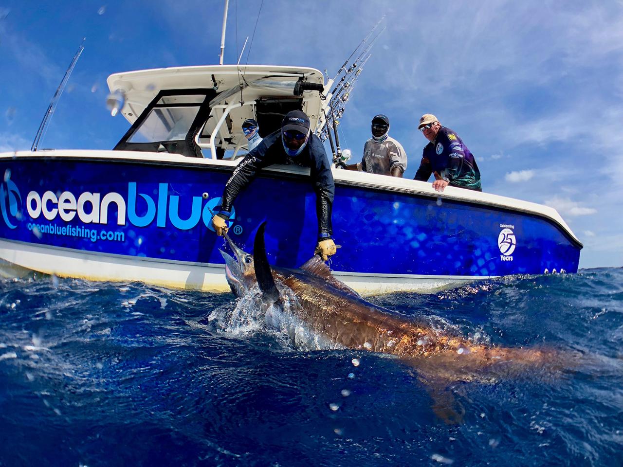 Full Day Blue Water Sport Fishing Adventure