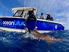 Full Day Blue Water Sport Fishing Adventure