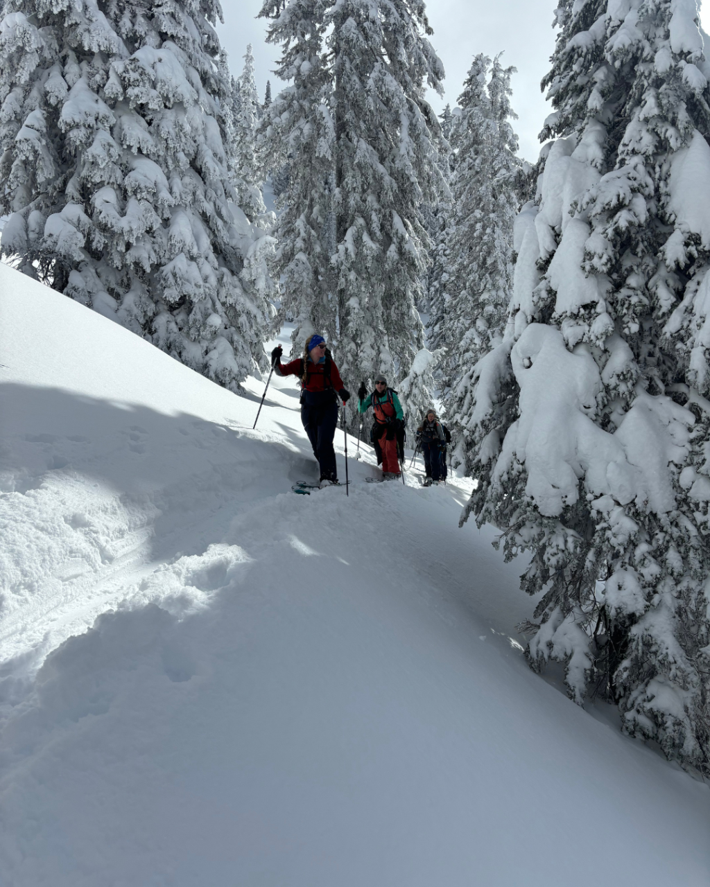 Women's Intro to Ski Touring - Revelstoke