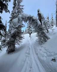 Intro to Ski Touring - Revelstoke