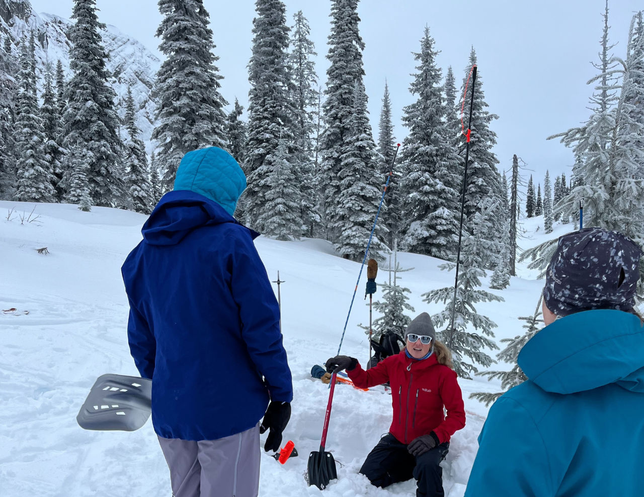 AST 1 - Golden / KHR