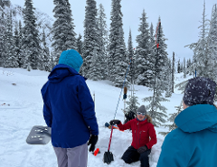 AST 1 - Golden / KHR