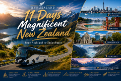 11D Magnificent New Zealand (SIC)