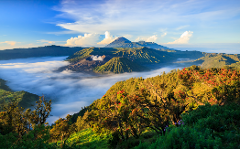 6D5N Surabaya & Jogjakarta by Garuda Indonesia (Usual price S$908)