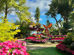 6D5N Charm of Chiayi tour - 4 to go