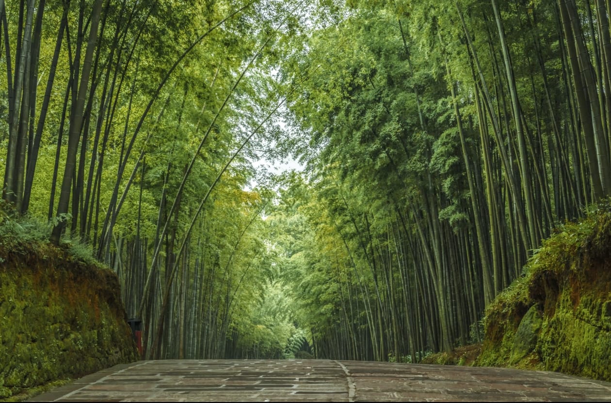 2 Day Private Tour to Shunan Bamboo Sea · Ancient Town & Stone Forest - Min 2 to go