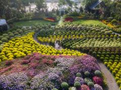 5D4N Taiwan Bloom & Onsen Retreat - 4 to go