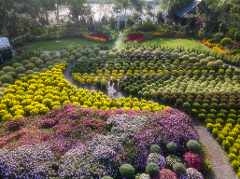 6D5N Charm of Chiayi tour - 4 to go