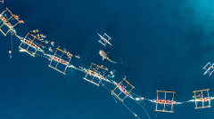 4D3N Cebu + Oslob Adventure with Whale Shark