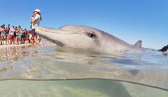 5D4N Dolphin Coast Self Drive Journeys (Coral Coast) 