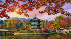 6D5N Autumn Bliss: Nami + Naejang tour