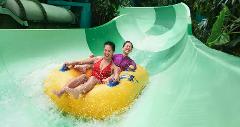 Adventure Cove Waterpark™ One-Day Ticket with One Way Transfer