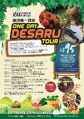 ONE DAY DESARU TOUR BY COACH