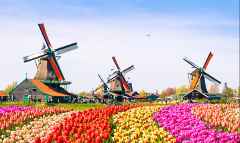 11D10N European Trio Escape