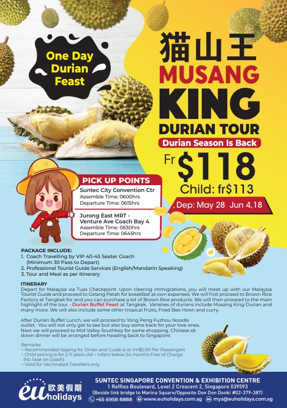 ONE DAY MUSANG KING DURIAN FEAST BY COACH