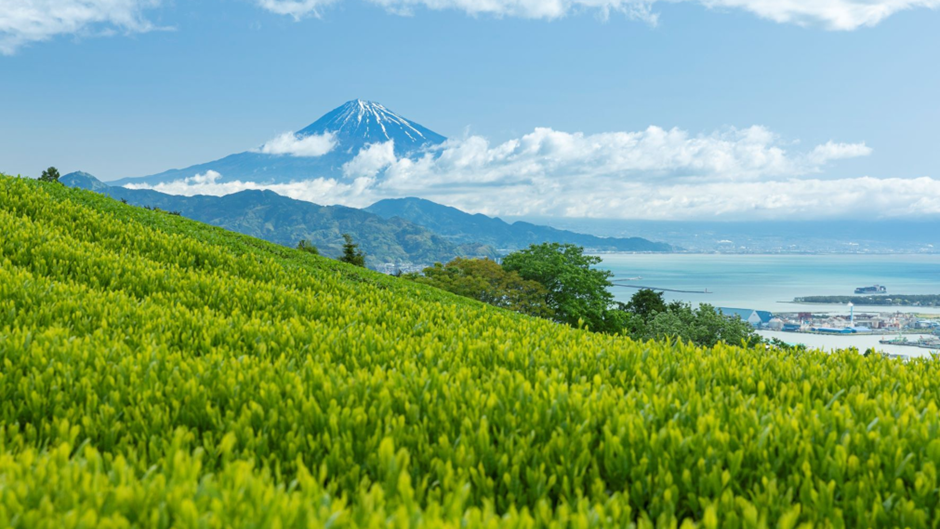 3D2N Uncharted Suruga - Private Tour