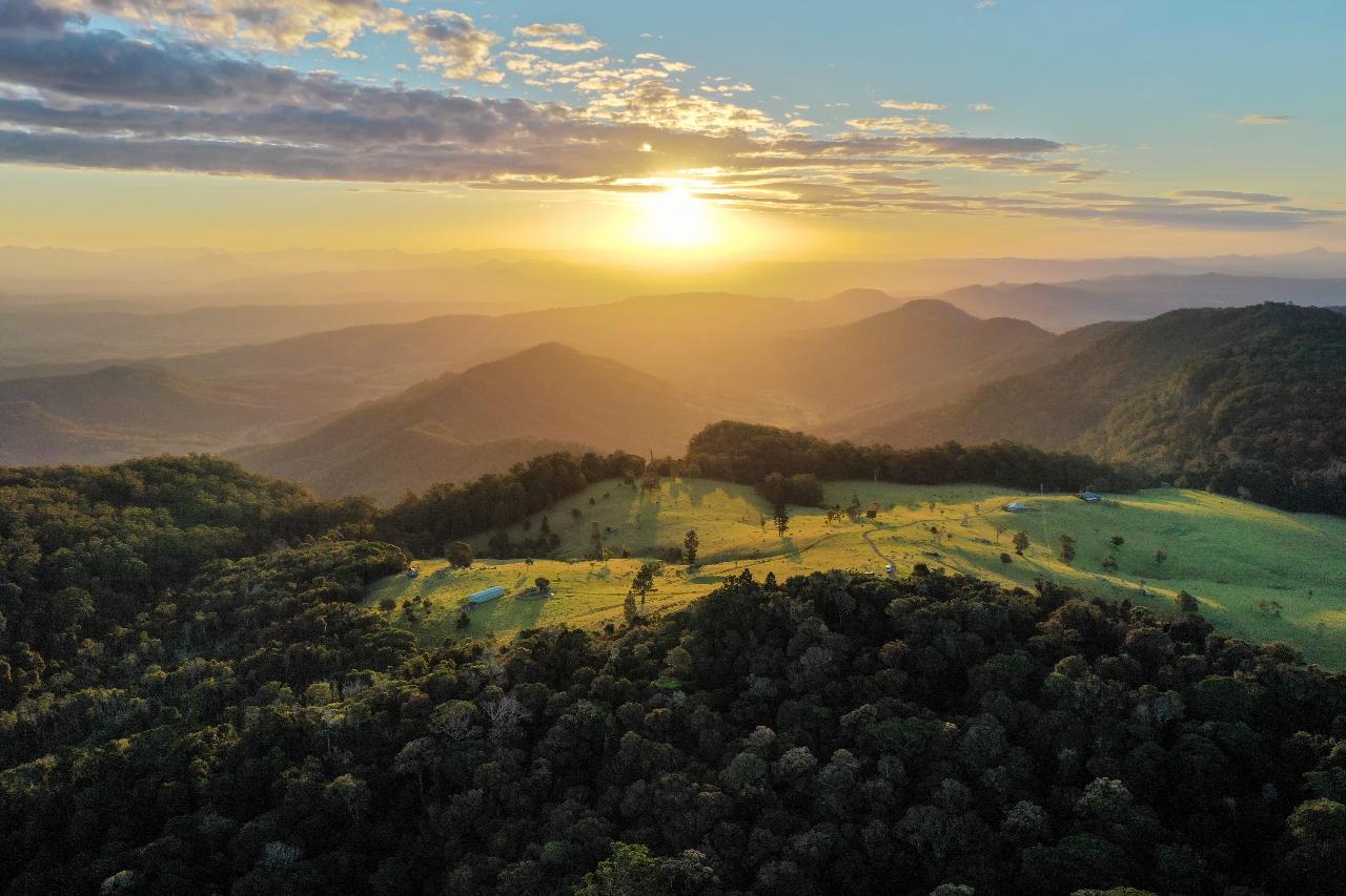 3D2N Hinterland Retreat (O'Reilly's Rainforest Retreat or Binna Burra Lodge)