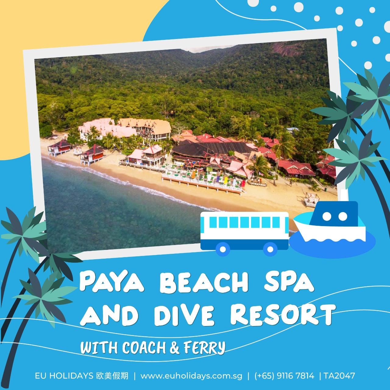 3 DAYS TIOMAN ISLAND PAYA BEACH SPA AND DIVE RESORT ~ COACH & FERRY