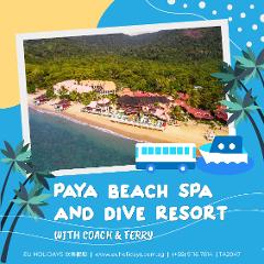 3 DAYS TIOMAN ISLAND PAYA BEACH SPA AND DIVE RESORT ~ COACH & FERRY