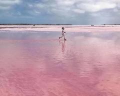 3D2N Perth Pink Lake (departs every Monday, two person minimum booking)