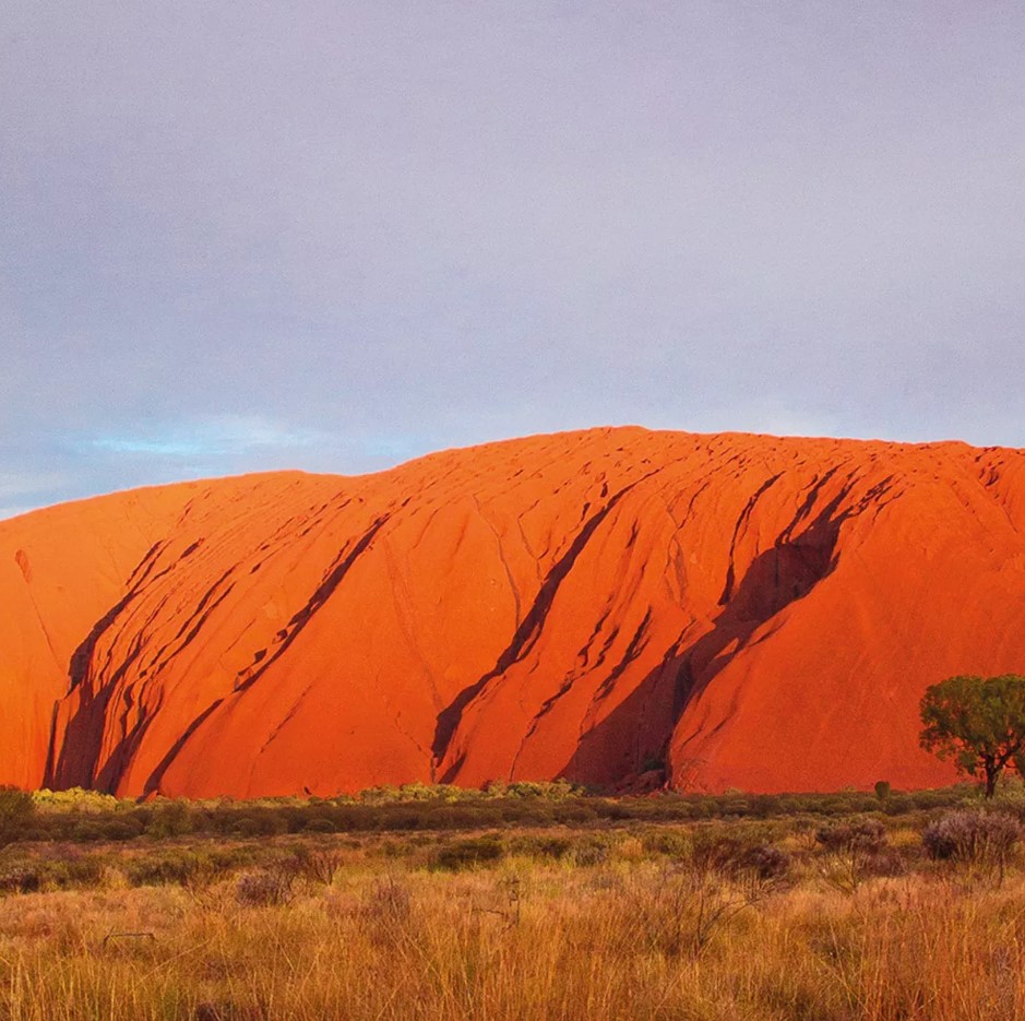 4D3N Uluru & Kings Canyon