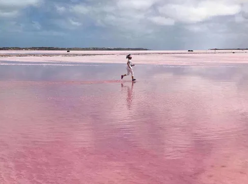 7D6N Western Australia Pink In-Depth