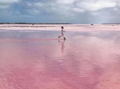 7D6N Western Australia Pink In-Depth