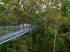 4D3N South West Getaway