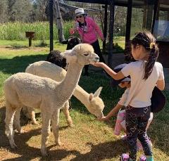 5D4N Perth & Farmstay