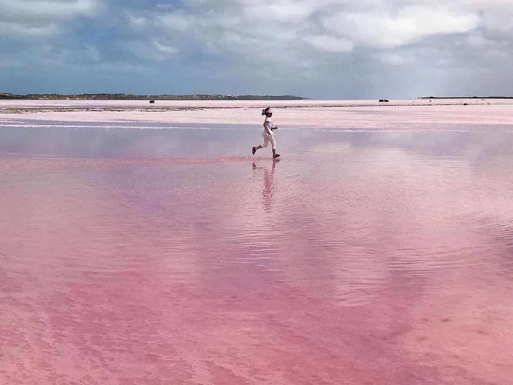4D3N Western Australia Pink Wonderland (Dep every Wednesday/Sunday)