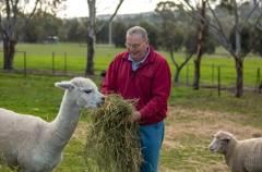 2D1N/3D2N Downunder Farmstays